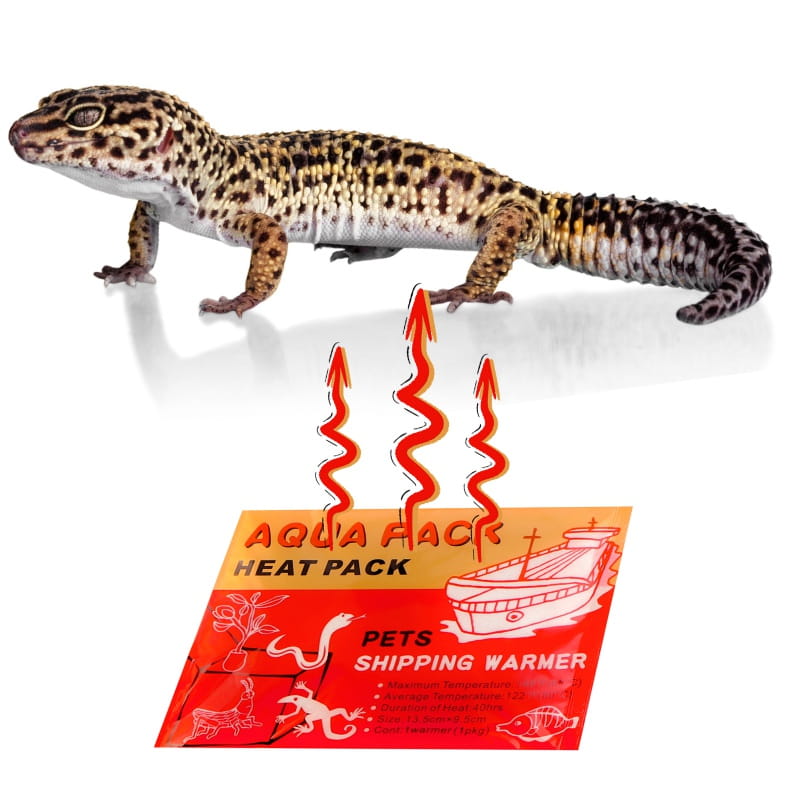 Aqua Heat Pack 40H ogrzewacz do transportu zwierząt 50szt.jpg